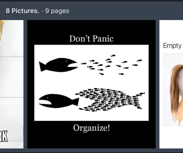 #buildinpublic -The Two Sides of the Coin